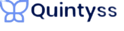 Quintyss limited logo